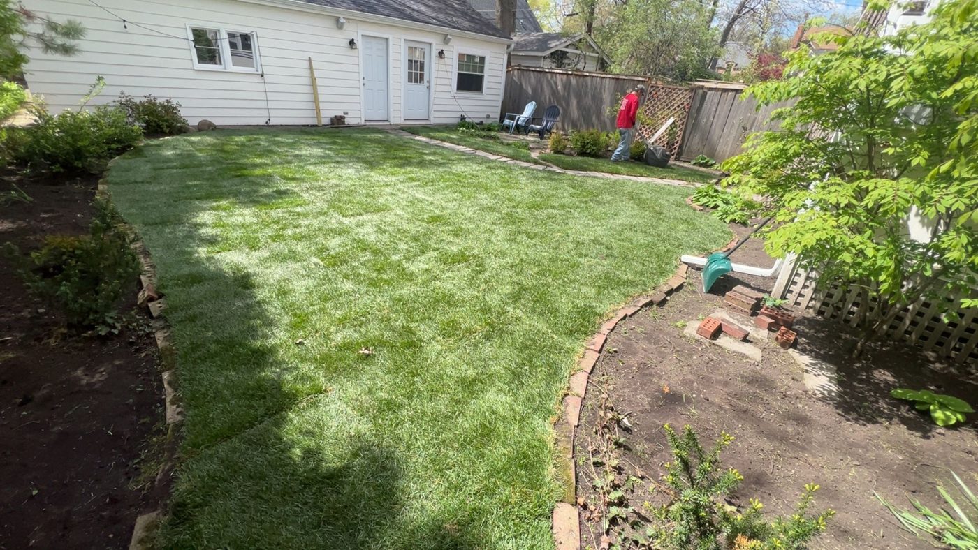 Core aeration and overseeding - MarioScape North Shore
