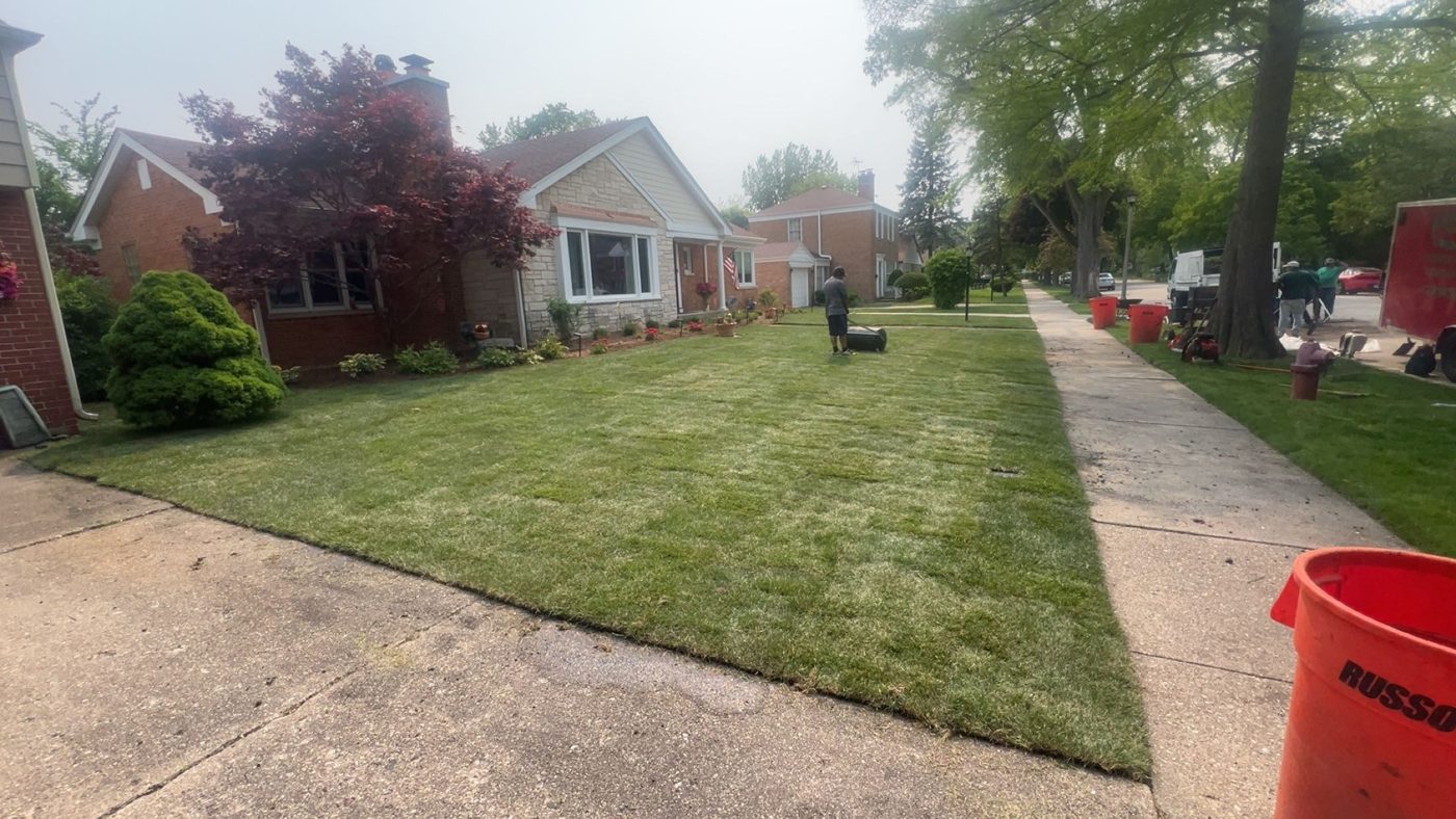 New sod lawn installation - MarioScape North Shore