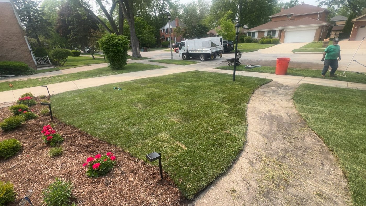 Lawn and garden bed weed control - MarioScape North Shore